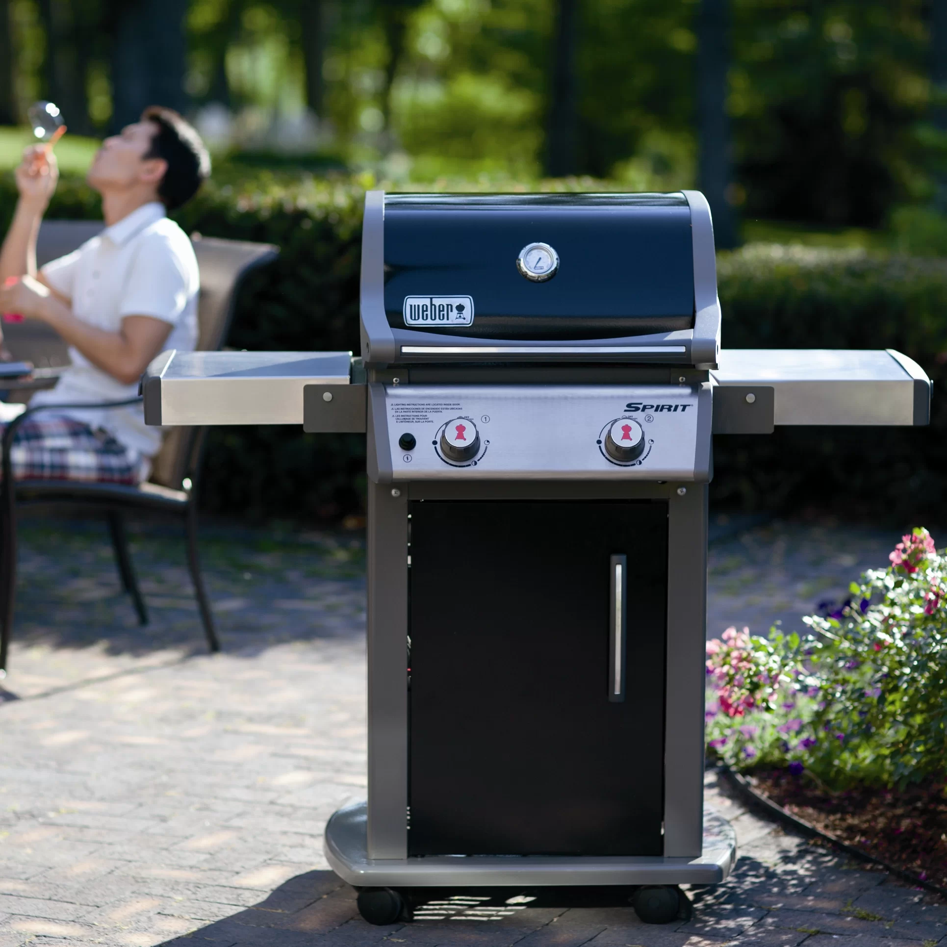 Weber E-210 Gas Grill  $500 Take it with you.  Delivery in Los Angeles